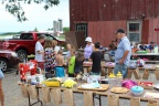 IMG 7768